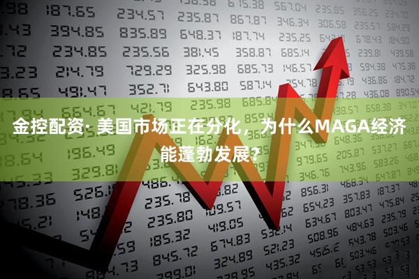 金控配资· 美国市场正在分化，为什么MAGA经济能蓬勃发展？