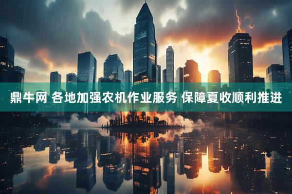 鼎牛网 各地加强农机作业服务 保障夏收顺利推进