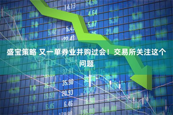 盛宝策略 又一单券业并购过会！交易所关注这个问题