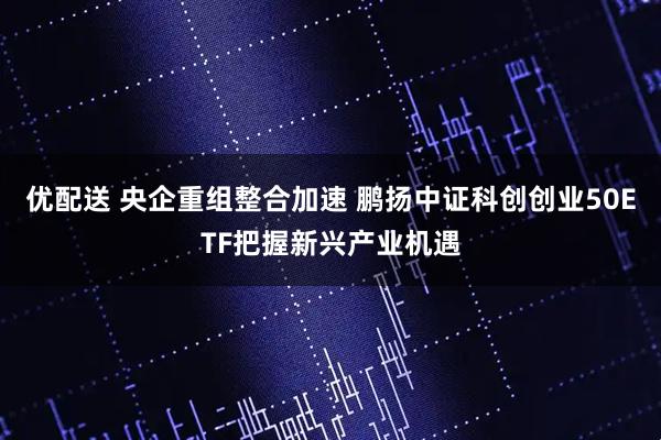 优配送 央企重组整合加速 鹏扬中证科创创业50ETF把握新兴产业机遇