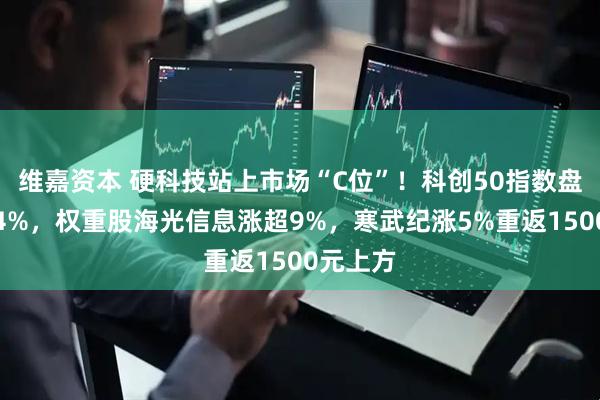 维嘉资本 硬科技站上市场“C位”！科创50指数盘中涨超4%，权重股海光信息涨超9%，寒武纪涨5%重返1500元上方