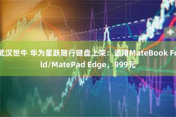 武汉世牛 华为星跃随行键盘上架：适用MateBook Fold/MatePad Edge，999元