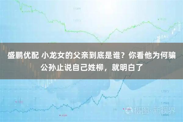 盛鹏优配 小龙女的父亲到底是谁?你看他为何骗公孙止说自己姓柳,就明白了