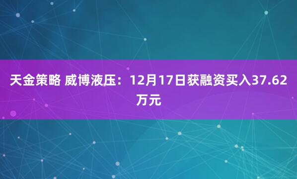 天金策略 威博液压:12月17日获融资买入37.62万元